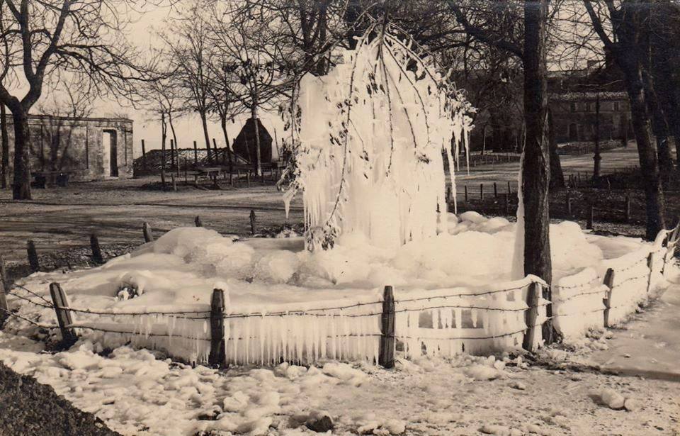 Descrizione Immagine 3